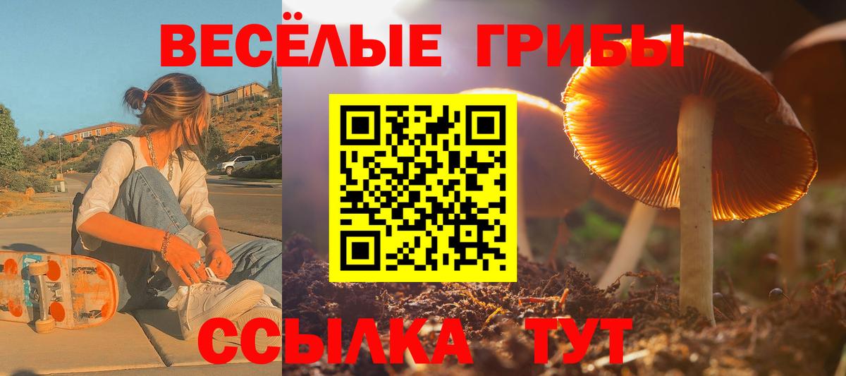 Псилоцибиновые грибы прущие грибы Псков